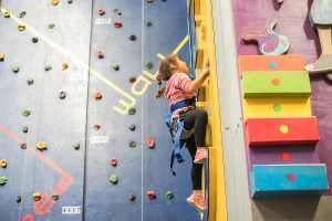 Consulting, Gymnastics, Kid's Activity Centers, Dance, Martial Arts, Small Business, Consultant, Club Owner, USA Gymnastics